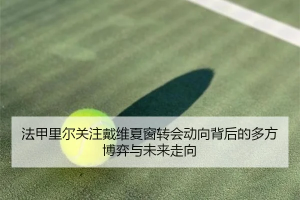 法甲里尔关注戴维夏窗转会动向背后的多方博弈与未来走向